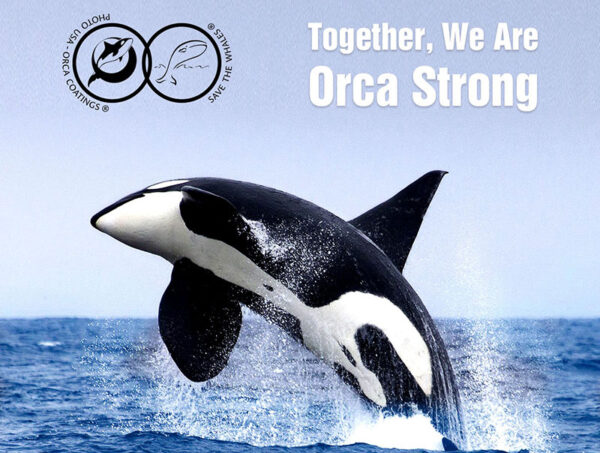 Orca Strong