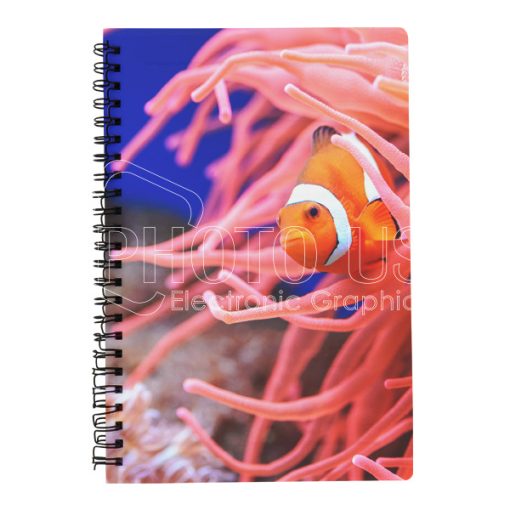 notebook600 3 3