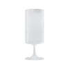 Sublimation Frosted Borosilicate Cocktail Glass